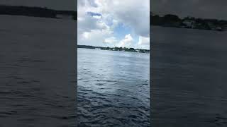 Vai Um Banho No Rio ?