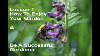 Gardening lesson 1 Balance. How To Enjoy Your Garden
