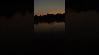 Sunrise Topwater Smash! #bassfishing #fallfishing #topwater