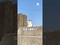 近所の海で…|PECO