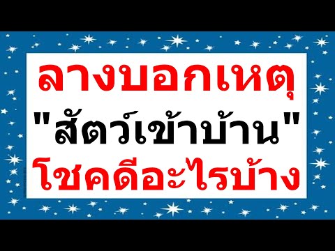 ลางบอกเหตุสัตว์เข้าบ้าน จะโชคดีอะไรบ้าง?!