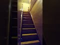 ひょこっと