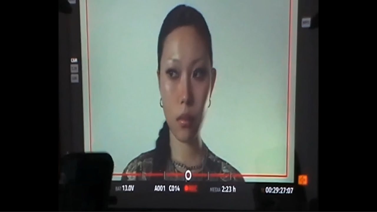 Quarter of my life: asian model in london