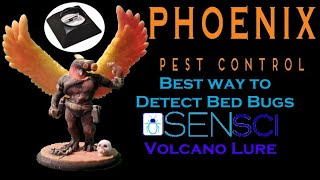 Best way to detect Bed Bugs in a Vacant Home  | Sensci Volcano Lures