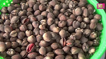 Chợ nhóm Miền Tây ( Tắc cậu). Countryside market