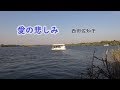 愛の悲しみ 風景 西田佐知子