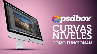 Como usar curvas y niveles en Photoshop