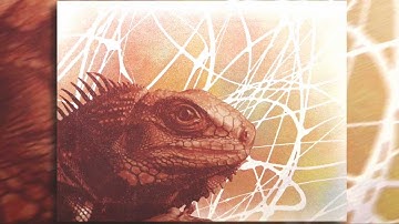 Stencil Art "Epic Iguana" by BASE45