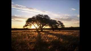 Vignette de la vidéo "Zamba de la Pampa - Hermanos Siutti"