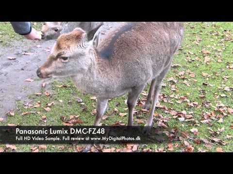 Panasonic Lumix DMC-FZ48 Full HD Video Sample