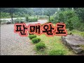 *((판매완료))상주에서 착봉좋은6/7매벌 30군을 #종봉분양 합니다