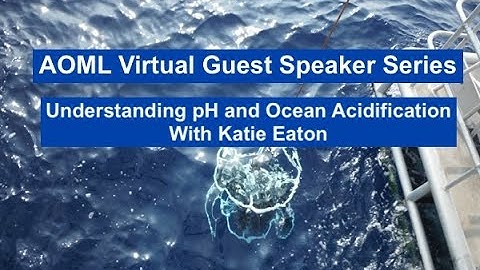 Understanding pH and Ocean Acidification with Katie Eaton