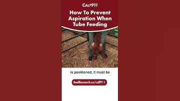 How to prevent aspiration when tube feeding newborn calves  #calf911 #calving #beefcattle