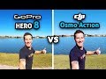 GoPro HERO 8 vs DJI Osmo Action!