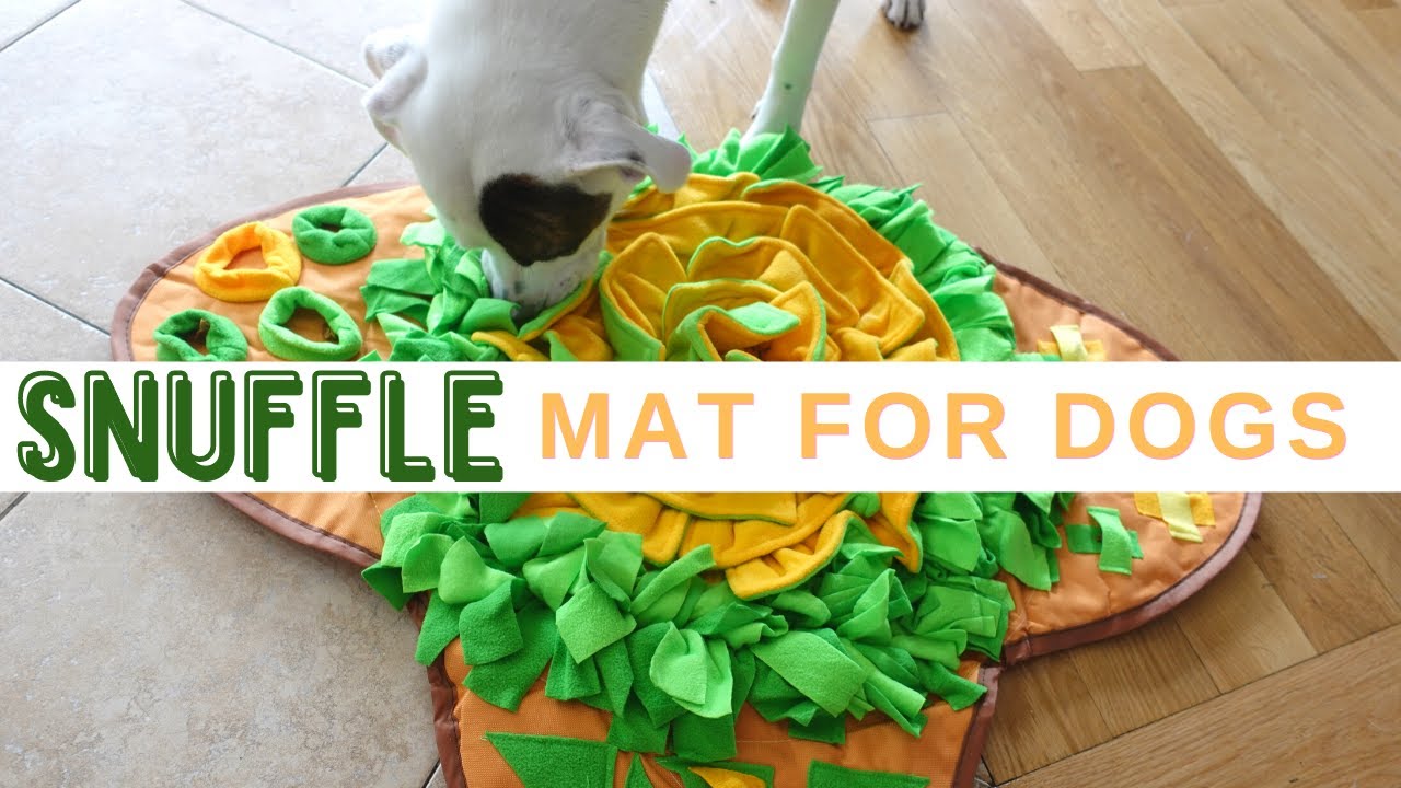 Are Snuffle Mats Tiring For Dogs?