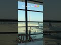 #breakfastwithaview #morningroutine  #morningvlog #shorts #youtubeshorts