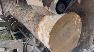 De-barking and Sawing a 26” Black Oak #12