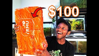 FISH ROOM SHOPPING SPREE! (Temu unboxing)