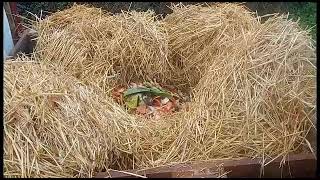 Processing Poo, How to fill humanure compost pile - #free #training #offgrid #castelobranco