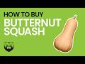 How to Buy Butternut Squash
