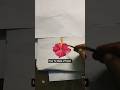 🩸🌺✌️🍁 HIBISCUS flower🩸 short #shorta/