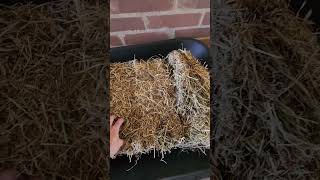 Hay Evaluation