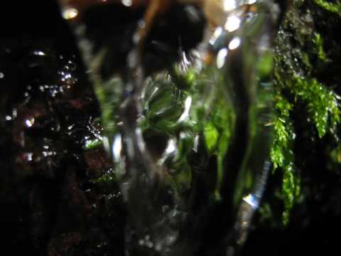 Mira Nat Life Its Snowing original mix en YouTube