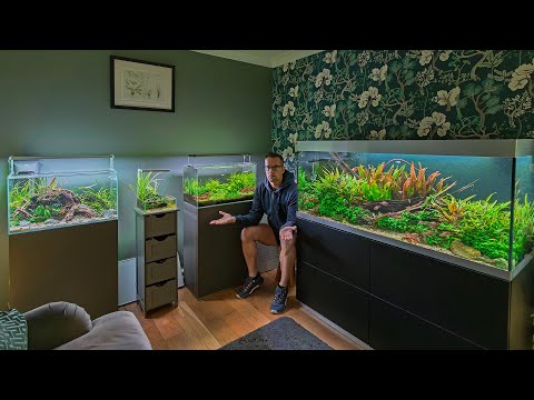 9:08 9:08 Now playing, I CANT STOP MOVING MY AQUARIUMS! (4K) 9:08 9:08 Now playing, I CANT STOP MOVING MY AQUARIUMS! (4K)