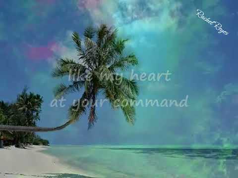 WORDS AND MUSIC - (ANDY GIBB / Lyrics) (REPOST)