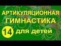 Артикуляционная гимнастика для детей. Упражнение 14