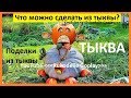 Поделки из тыквы в школу и в детский сад crafts from vegetables