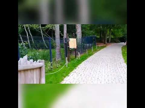 schweriner-zoo🎉🐶🐺🐱🐭🐹🐰🐸🐯🐨🐻🐷🐗🐧🐵🐒🐹🐠🐟