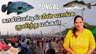 காசிமேடு Fish market @ Pongal festival 💥 Fresh மீன் 100%🔥