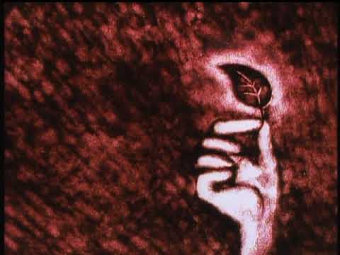 オレンジロード 恋のステージ HEART on FIRE! スター誕生　LD Amazon.co.jp: きまぐれオレンジ・ロード 恋のステージ ハート