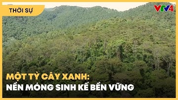 Một tỷ cây xanh: Nền móng sinh kế bền vững | VTV4