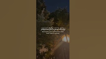 وإن ربك لذو فضل على الناس ولكن أكثرهم لا يشكرون || سعد الغامدي - سورة النمل