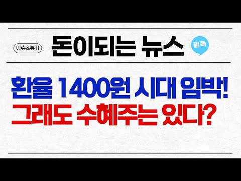   돈이 되는 NEWS 환율 1400원 시대 임박 그래도 수혜주는 있다 머니투데이방송 증시 증권