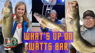 What’s Up On Watts Bar? – TN WildCast 390