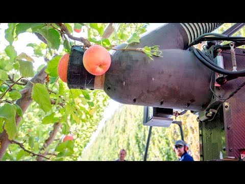 Robotic apple picker trials continue in Washington