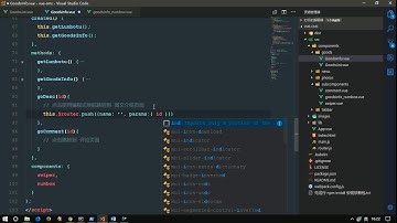 vue js 入门与实战 十一天课程day10 09 项目 使用编程式导航实现图文介绍和商品评论跳转