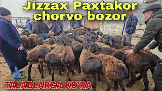 29 ноября 2023 г. JIZZAX PAXTAKOR CHORVO BOZORI QO'Y ECHKI QO'ZI NARXLARI KAMOLIDDIN.UZ