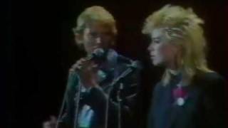 JOHNNY HALLYDAY &amp; KIM WILD &quot; teddy bear&quot;