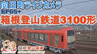 【向日町ライブカメラ】EF65+箱根登山鉄道線3100形甲種輸送