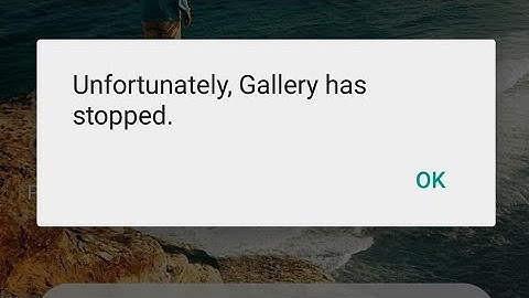 Unfortunately gallery has stopped solution
