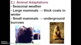 VIDEO SCREENCAST E.S. 1: Ch. 4 (part 2)
