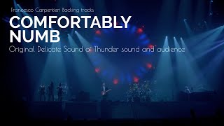 Download Lagu Comfortably Numb 2nd solo BACKING TRACK | Original Delicate Sound of Thunder Audio and Audience MP3