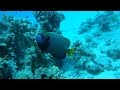 Красное море под водой 2013 FullHD - Red Sea Underwater