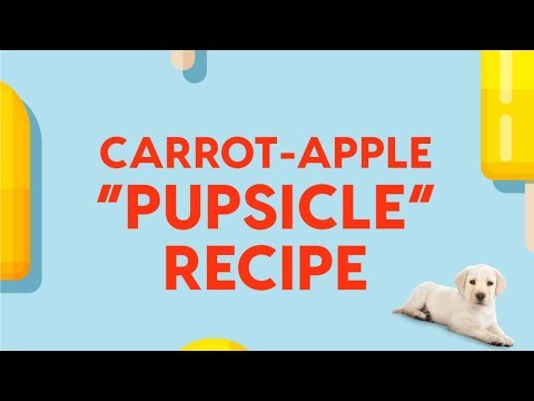Video: DIY yemek - Pupsicles