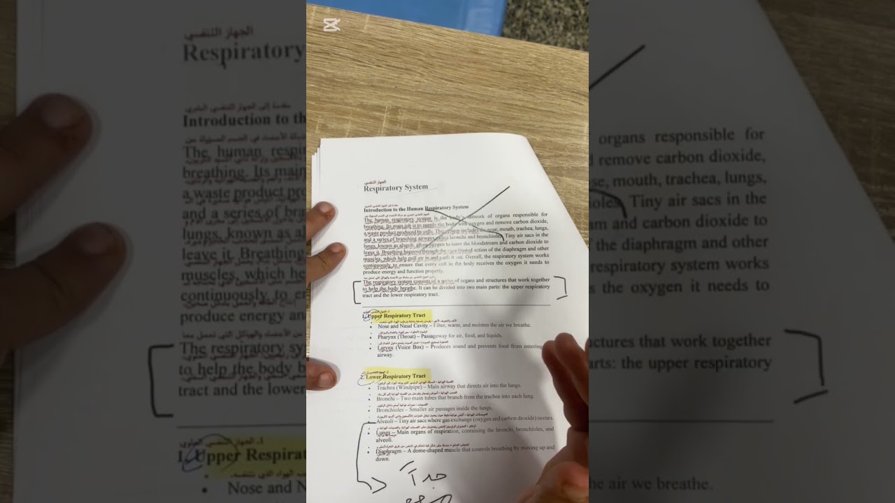 فاينل التشريح محاضره ١+٢