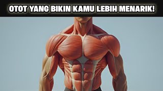 4 Otot Ini Membuat Anda Terlihat Lebih Besar & Menarik | Latihan Versi Rumah & GYM